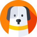 animals,mammal,pet,animal kingdom,dog,saint bernard ok 